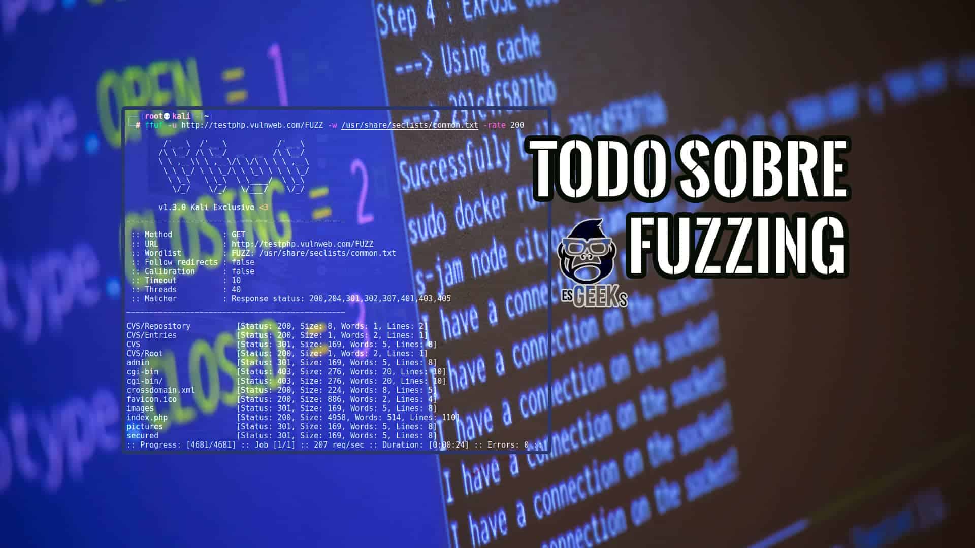 Todo sobre Fuzzing o Fuzz Testing