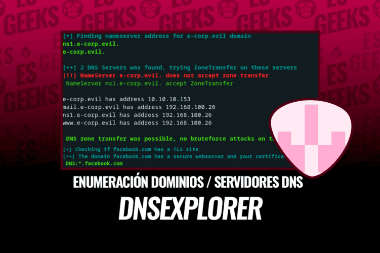 DNSExplorer Script Bash para Enumerar Dominios y Servidores DNS