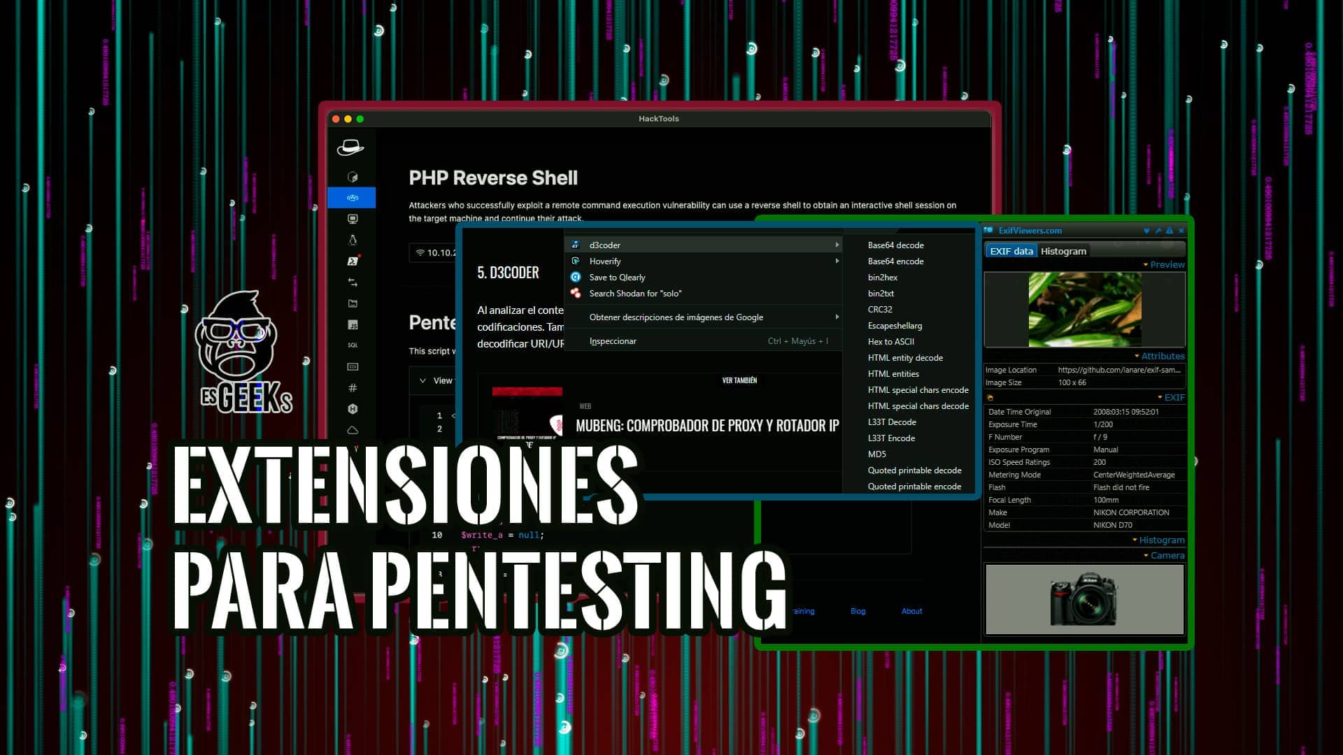 Extensiones de Navegador Pentesting Hacking y Seguridad