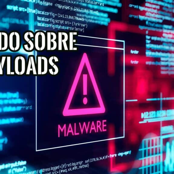 Todo sobre payloads concepto tipos y seguridad
