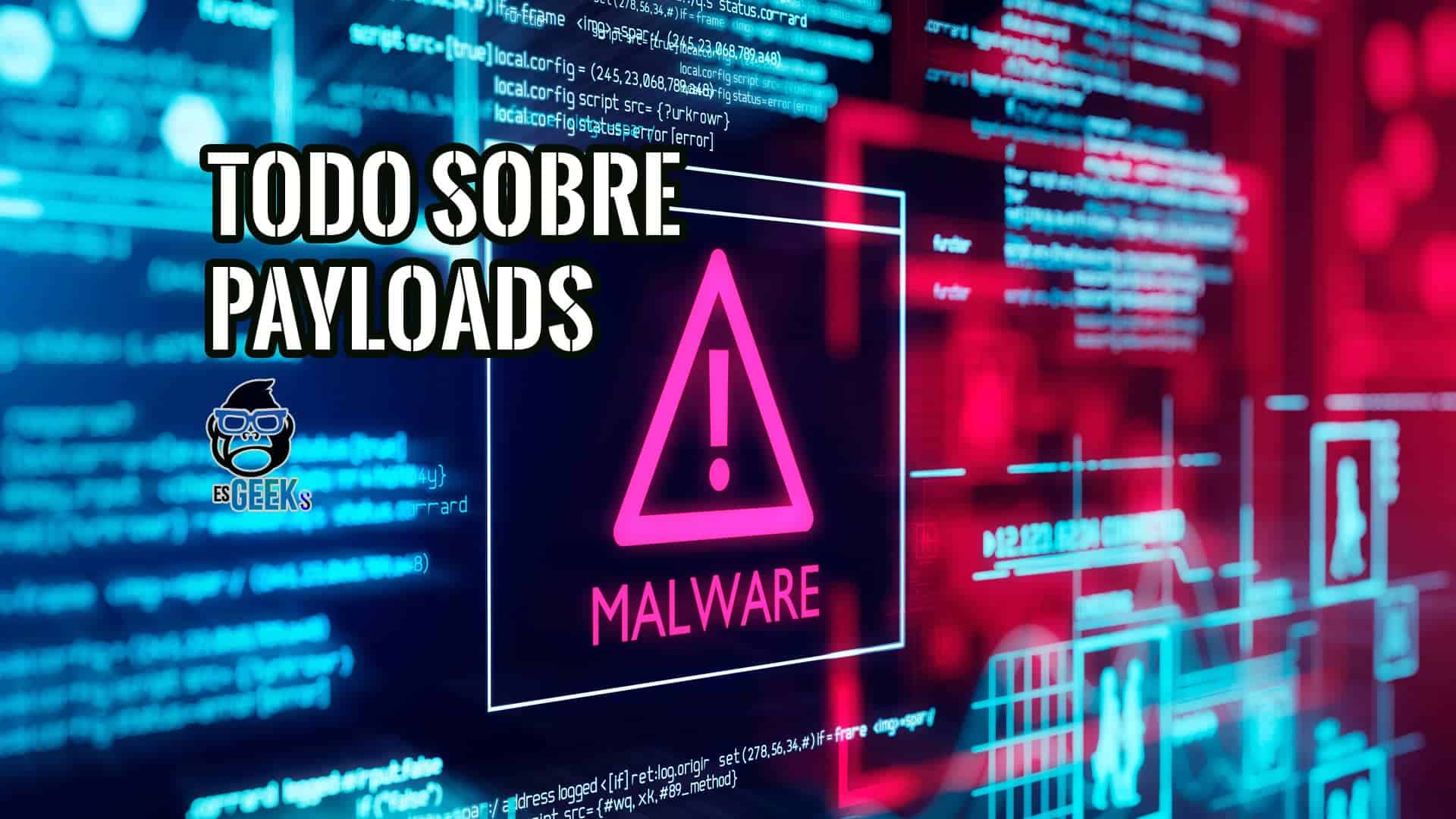 Todo sobre payloads concepto tipos y seguridad