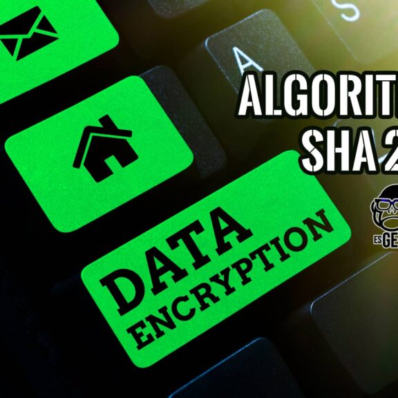 Algoritmo SHA 256 Explicado para Principiantes