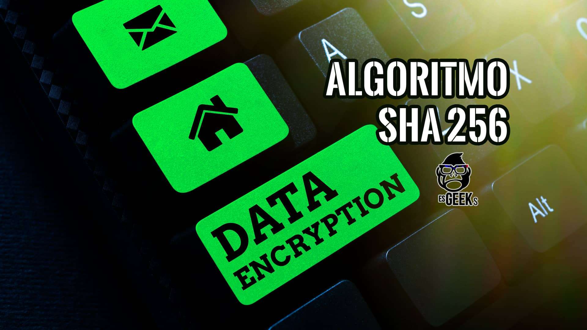 Algoritmo SHA 256 Explicado para Principiantes