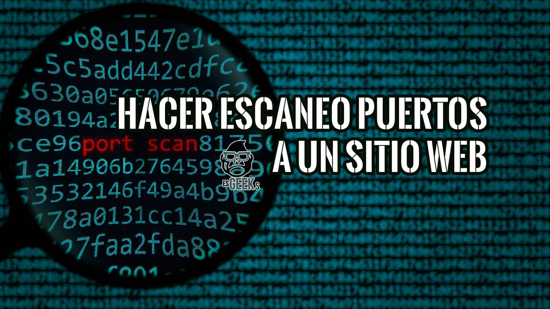 Cómo Hacer un Escaneo de Puertos a un Sitio Web
