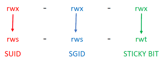Todo Sobre los Permisos en Linux: SUID, SGID y Sticky BIT » EsGeeks