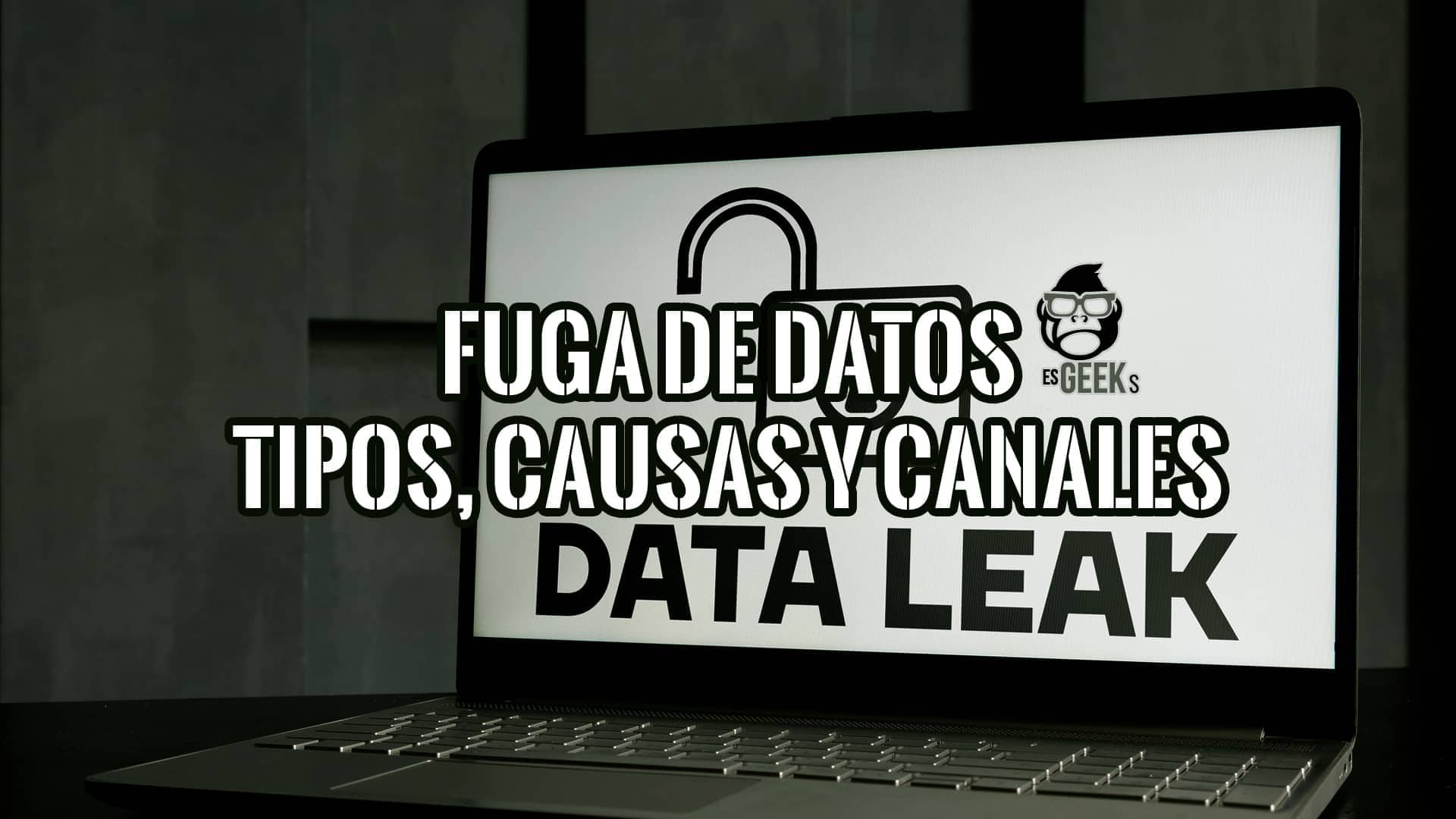 Un portátil muestra una pantalla con el texto 'Fuga de Datos: Tipos, Causas y Canales' y 'Data Leak', junto al logo de esGeeks. La imagen sugiere un artículo o recurso sobre seguridad de datos.