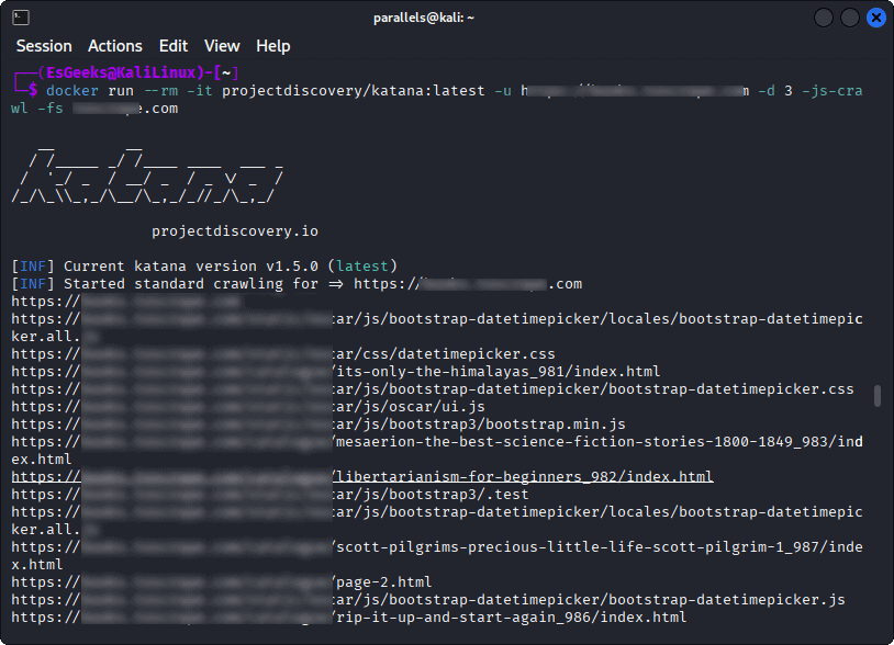 Katana Crawler: Mapeo de Endpoints y Rutas Ocultas en Web
