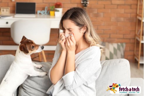 A woman sits comfortably on her couch in Las Vegas, tending to a cold with her loyal dog by her side. The Fetch‑A‑Tech logo appears in the corner, highlighting our commitment to keeping local families healthy and comfortable—always here to help when you need us most.