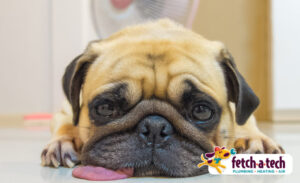 A happy pug relaxes comfortably on the floor with its tongue out, embodying the comfort Fetch‑A‑Tech brings to Las Vegas homes. The Fetch‑A‑Tech Plumbing, Heating & Air logo appears in the bottom right corner, reflecting our family-owned commitment to helpful service and honest care.