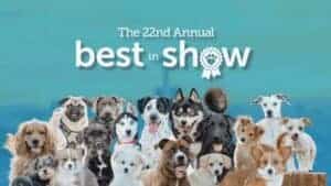 A cheerful group of different dog breeds sits together in front of a blue backdrop, with the text "The 22nd Annual Best in Show" above them. At Fetch‑A‑Tech, your trusted family-owned team serving Las Vegas, we’re here to bring comfort and helpful service to every home—just like these friendly pups bring joy to any room!.