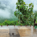 Best Mizoram View Macha Sajek