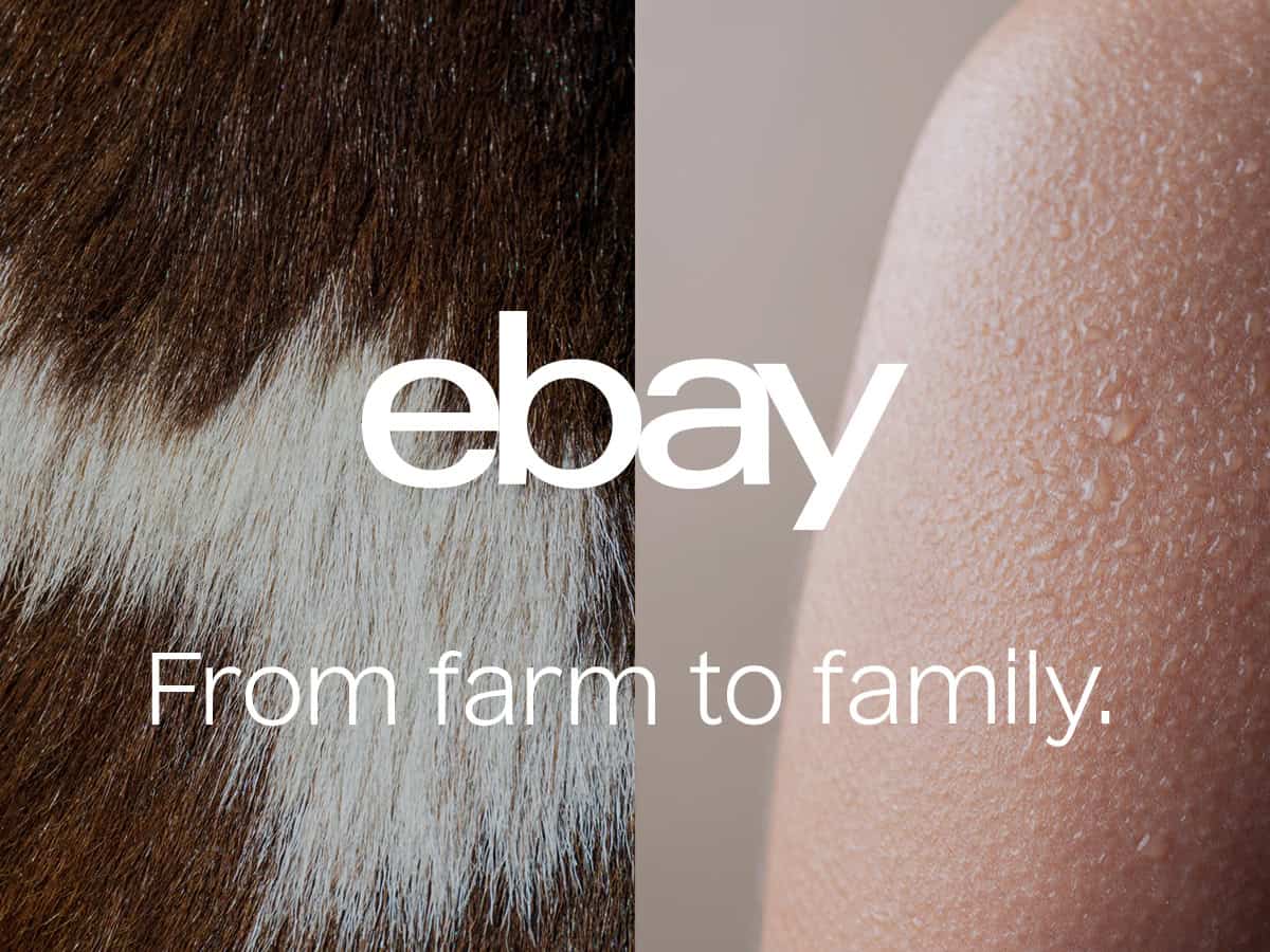 Neu bei eBay: Einheitlicher Auftritt unter From Farm to Family