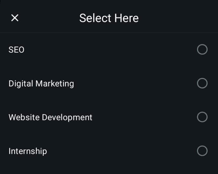 Dropdown menu with options for selecting SEO, Digital Marketing, Website Development, or Internship.