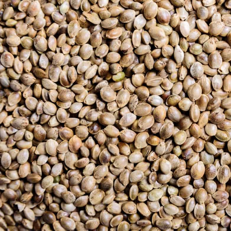 Close up of Grasslands Hemp Seed.