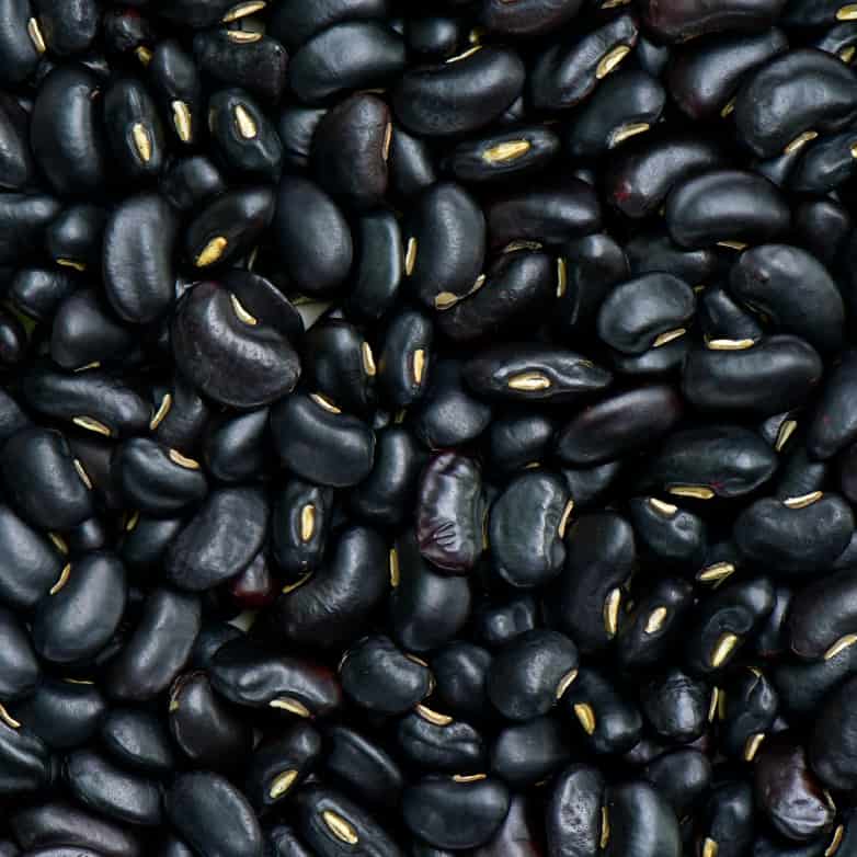 Close up of Grasslands Black Beans.