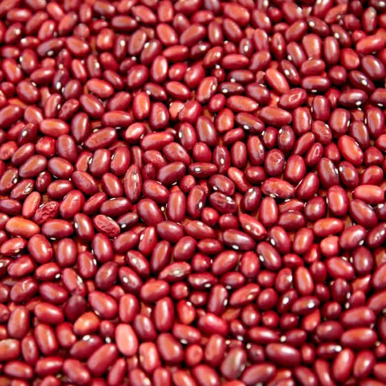Close up of Grasslands Red Kidney Beans