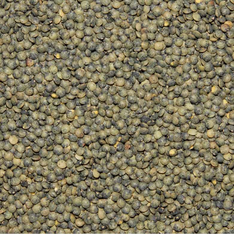 Close up of Grasslands French Green Lentils.