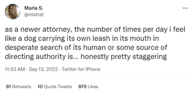 twitter screenshot from Maria S