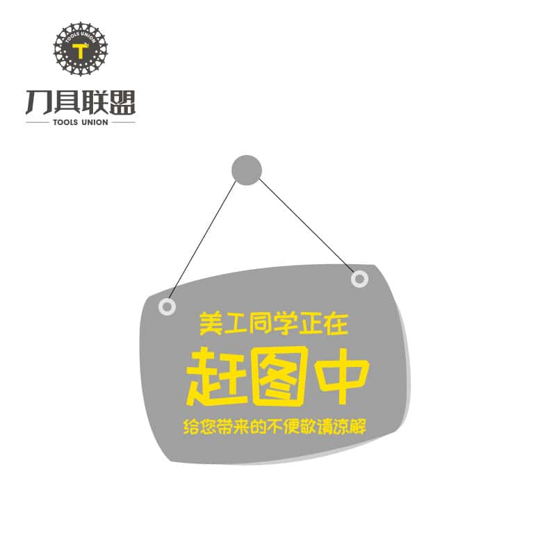 Fengyi 100% Original  Cutting Tools Thread Insert 16NR1.8 P30  10pcs