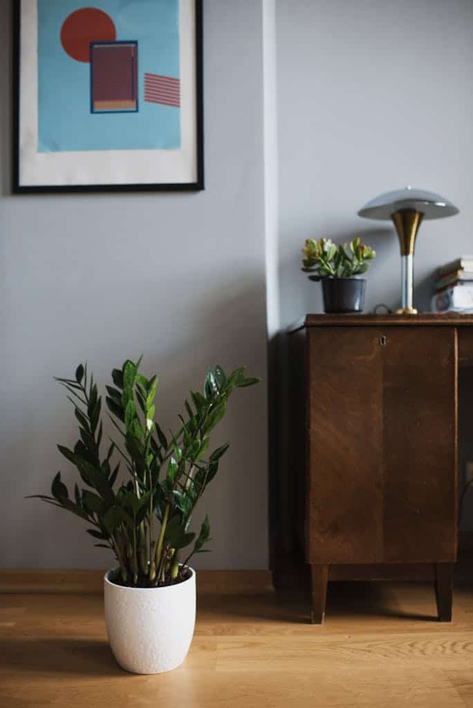 Cozy and stylish interior featuring a modern painting, lush houseplant, and elegant wooden cabinet.