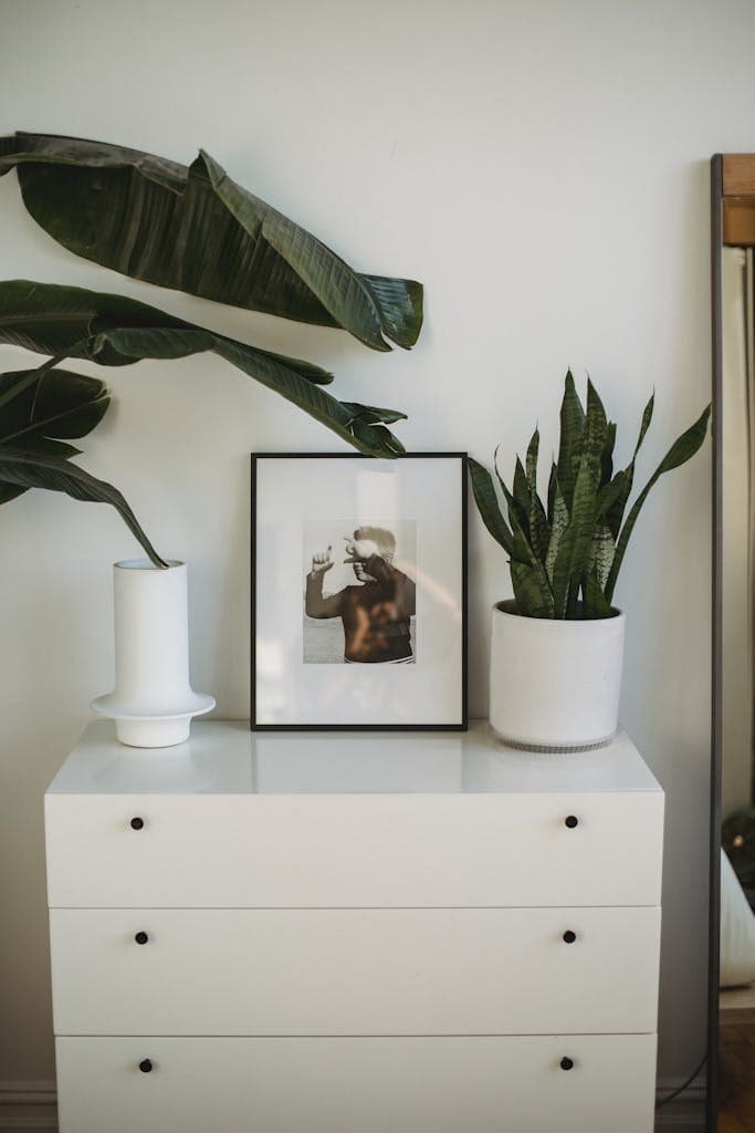 White cabinet with three desks and with potted green plants and framed picture