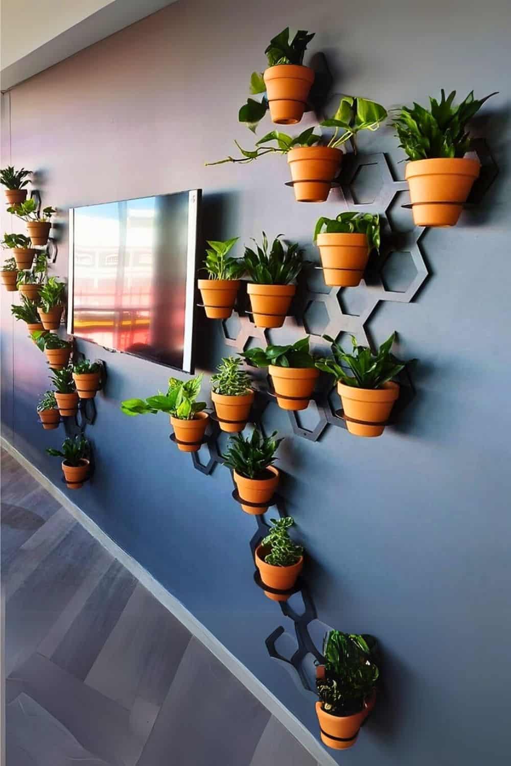 Transform Your Space Creative Wall Plant Decor Ideas Houseplant Alley