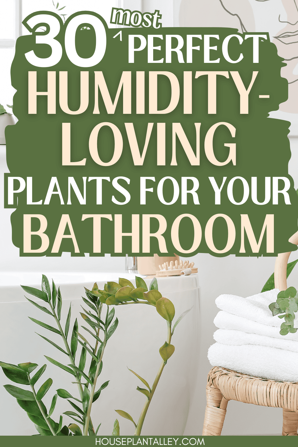 30 Best Dehumidifying Plants For Bathrooms | Houseplant Alley
