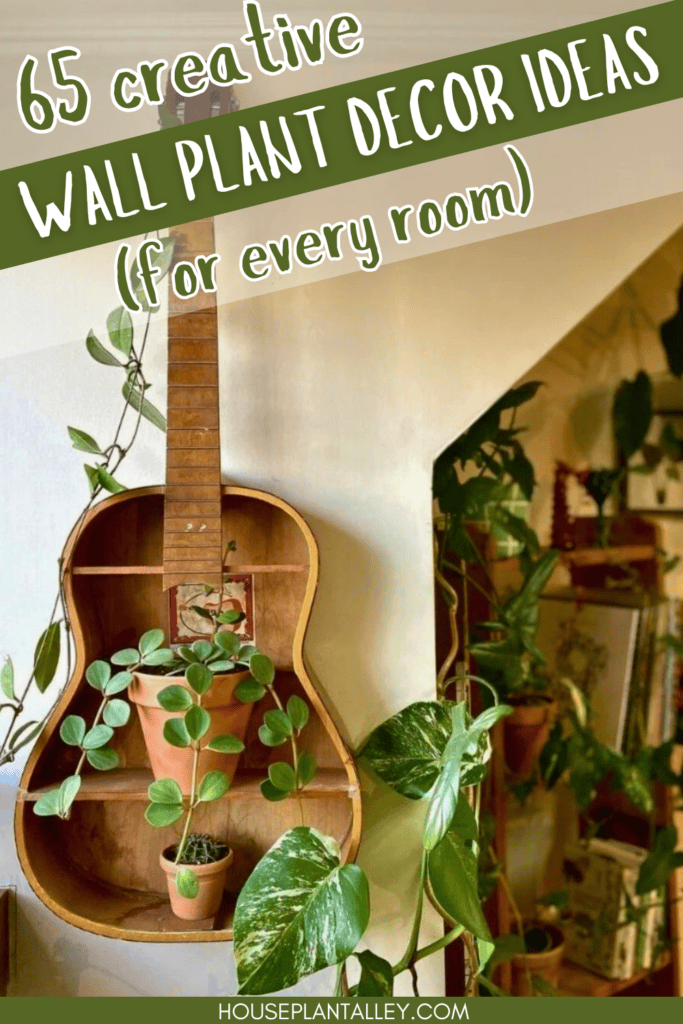 Wall Plant Decor Ideas 1