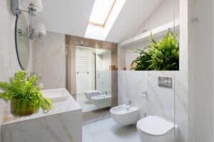 how to care for boston fern in the bathroom