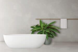 how to care for calathea in the bathroom