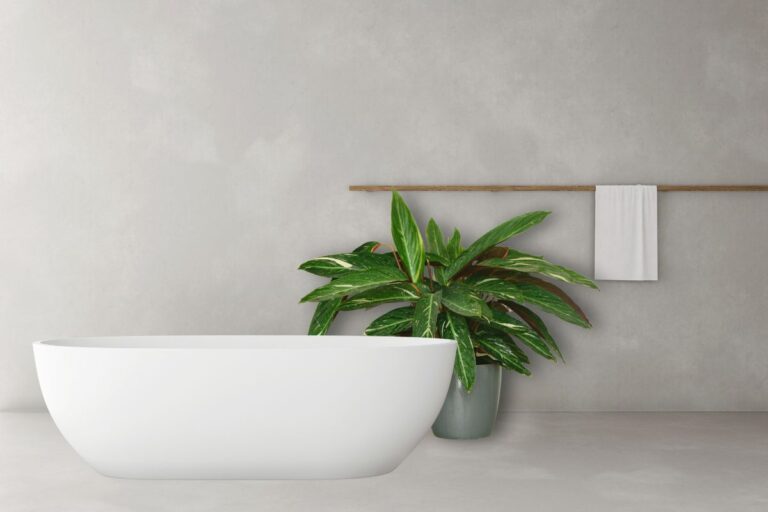 how to care for calathea in the bathroom