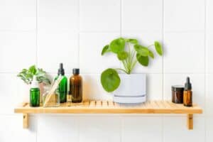 how to care for chinese money plant in the bathroom