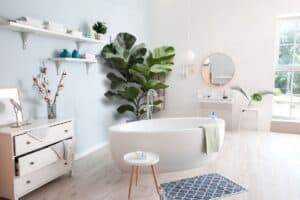 how to care for fiddle leaf fig in bathroom