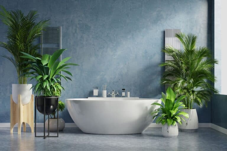 how to care for palm plants in the bathroom