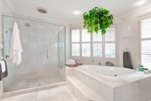 how to care for philodendron in the bathroom