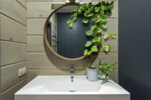 how to care for pothos in bathroom