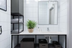 how to care for spider plant in the bathroom