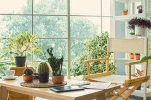 best plants for window