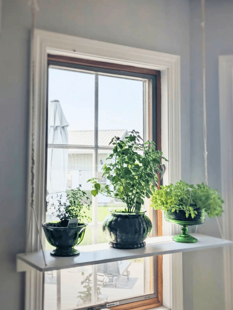 hanging shelf for window plants