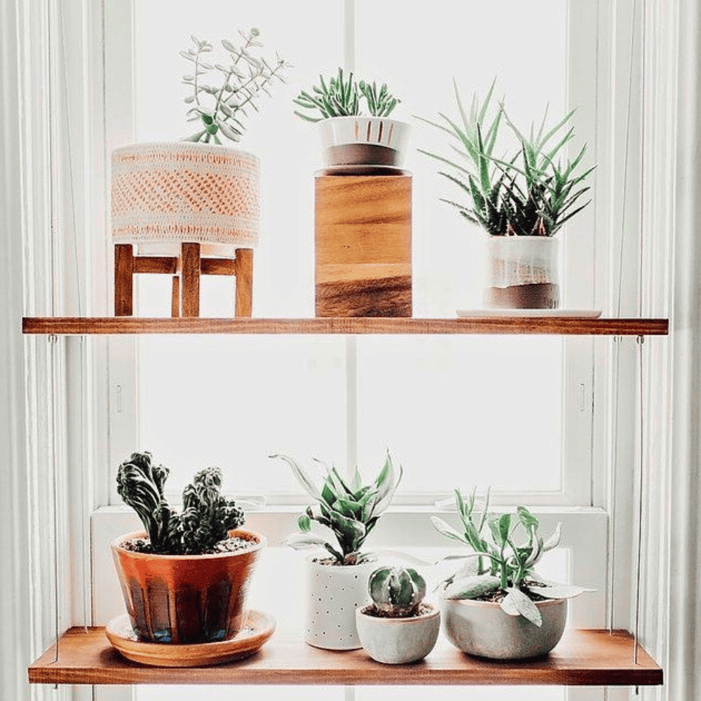 hanging window plant shelf