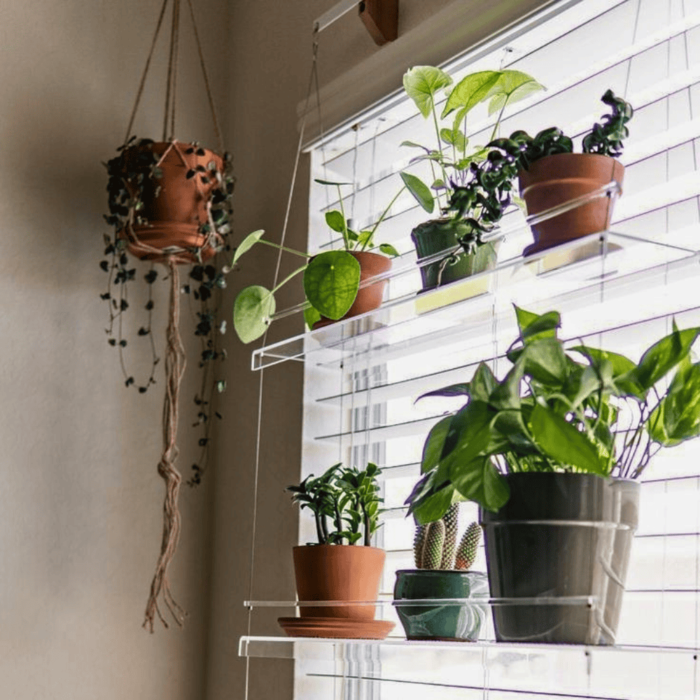 hanging window plant shelves