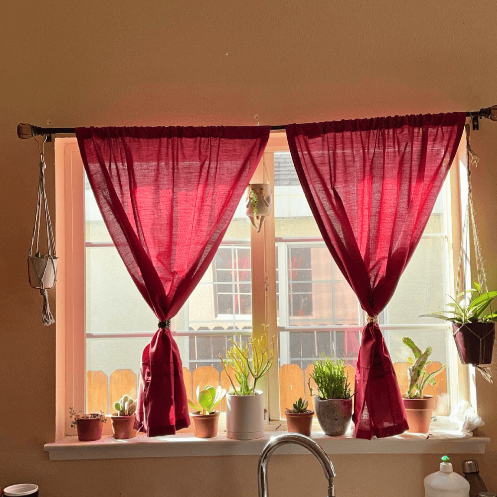 plants on windowsill