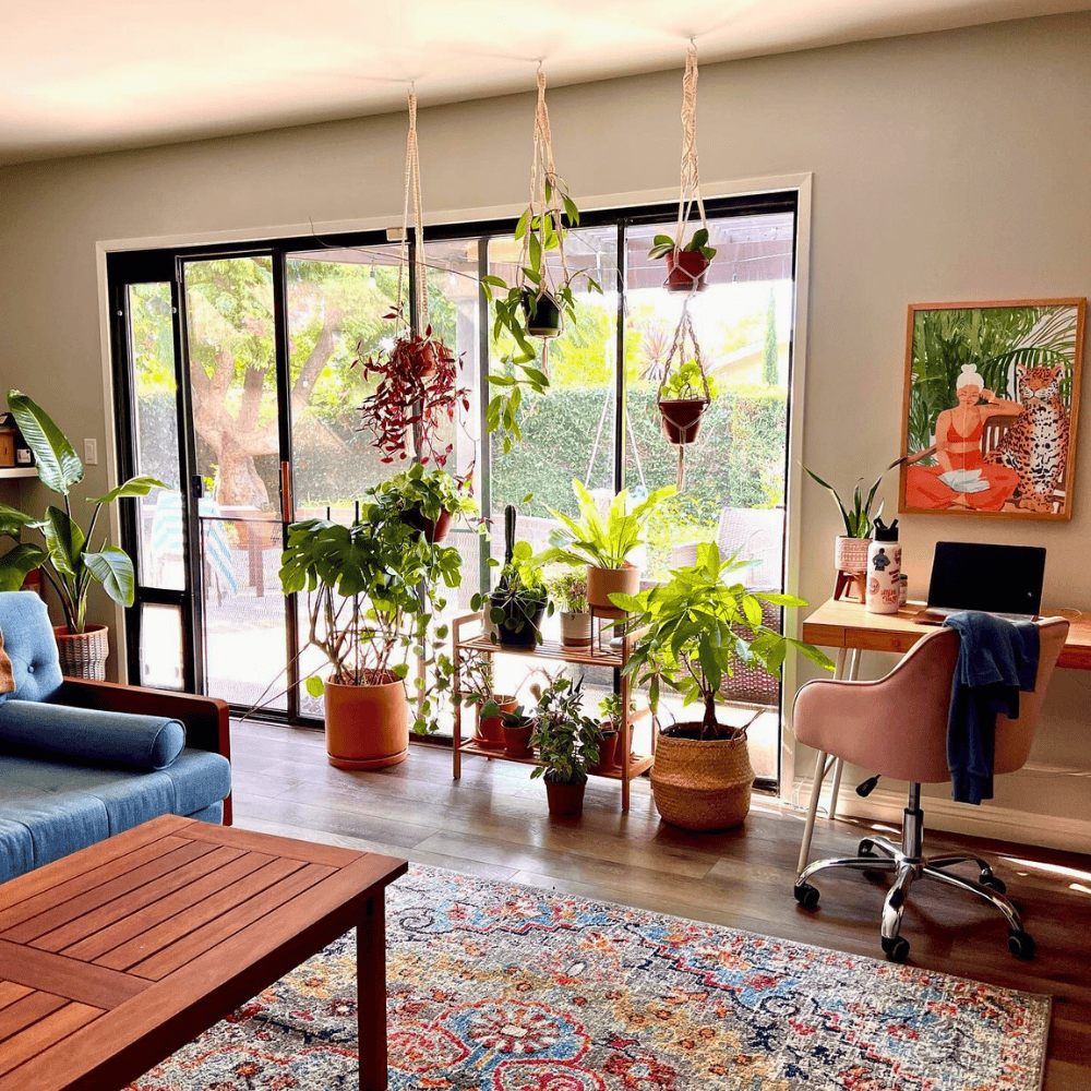 window plant hanger