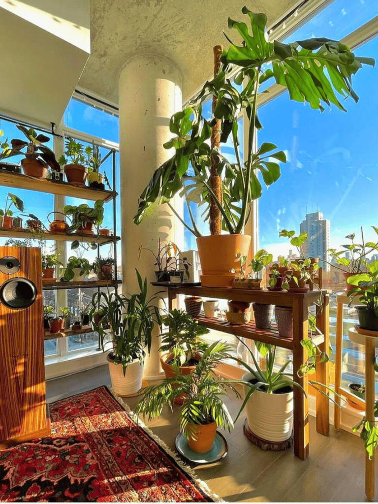 window plants ideas