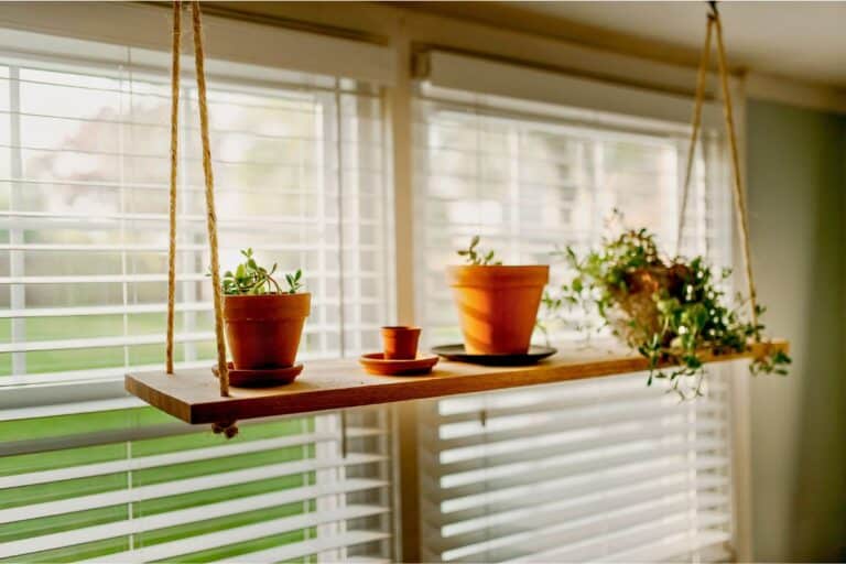 window plants ideas