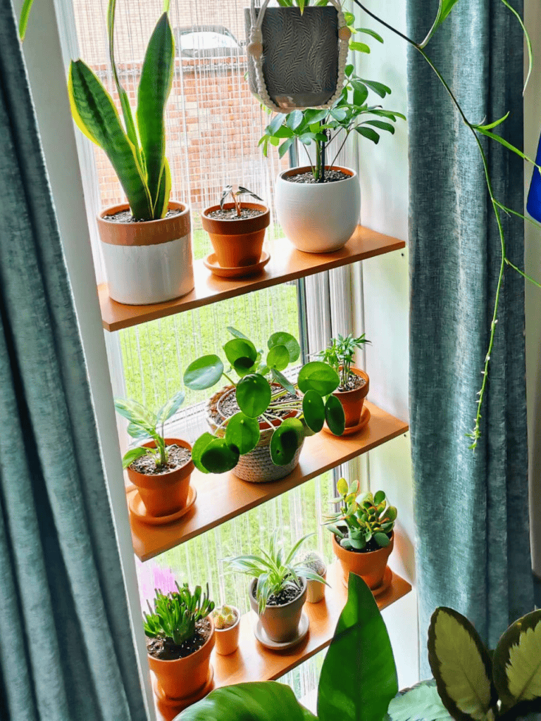 window shelf ideas