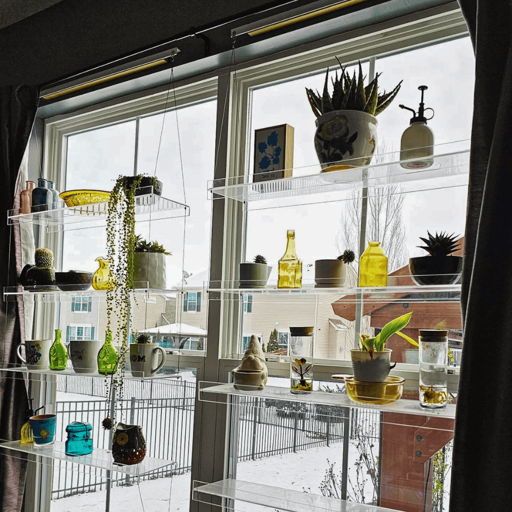 window shelves for plants