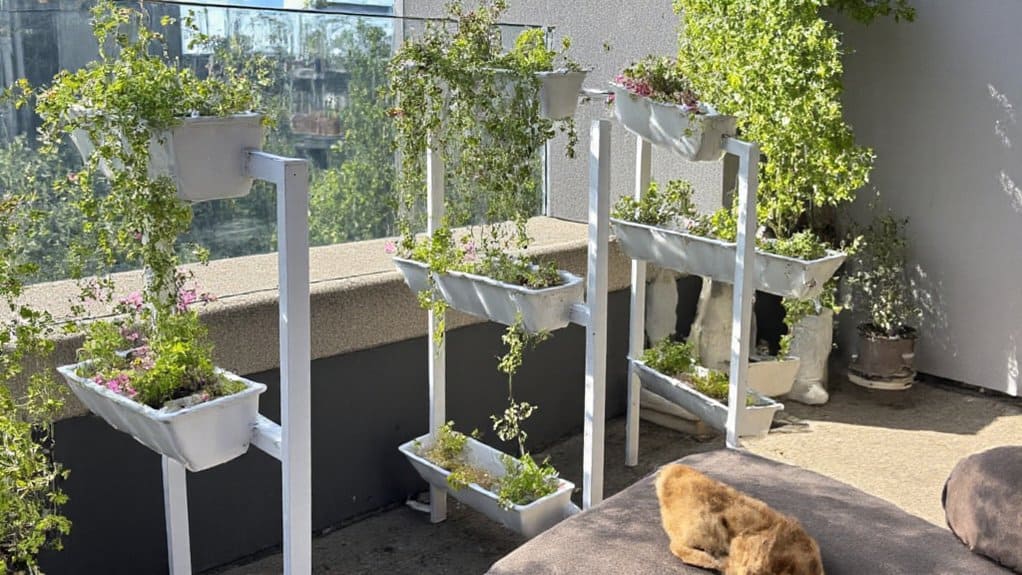 elevated planters enhance accessibility
