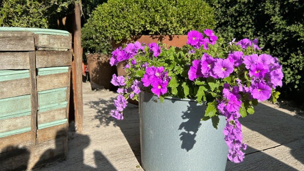 repurpose old containers creatively