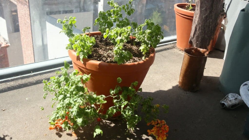 stackable pots for renters